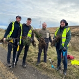 Tree Planting