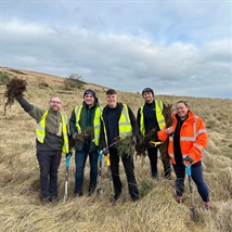 Tree Planting