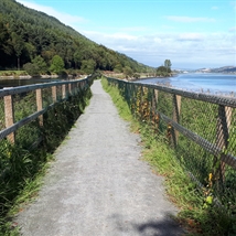 Carlingford Lough Greenway